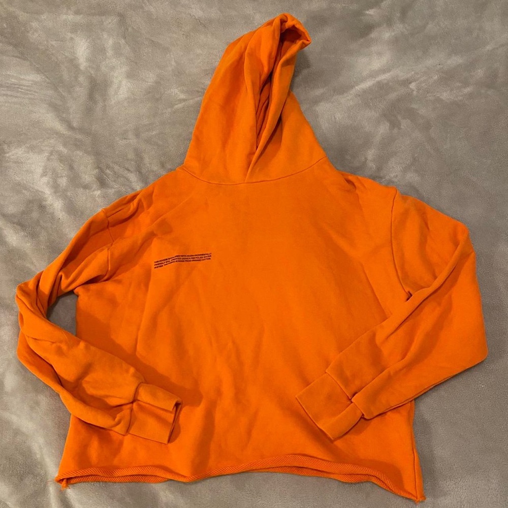 The Pangaia loose collection hoodie